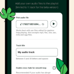 New: Add your own audio track in Loopzzz