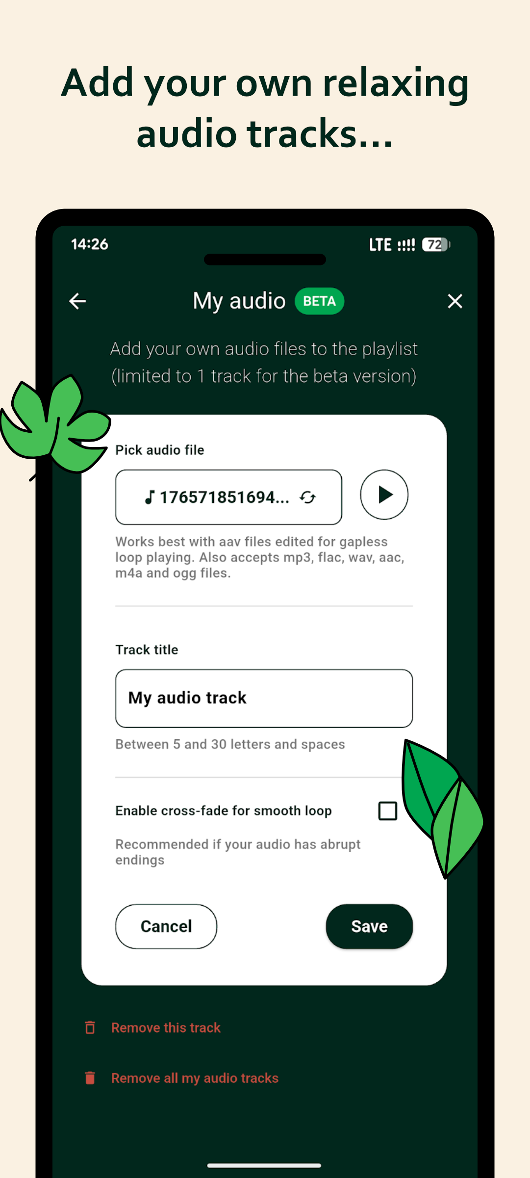 New: Add your own audio track in Loopzzz